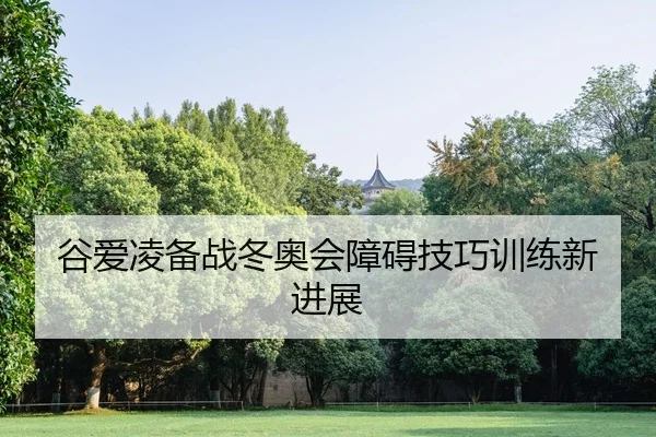 gu-ai-ling-bei-zhan-dong-ao-hui-zhang-ai-ji-qiao-xun-lian-xin-jin-zhan-2-882.jpg