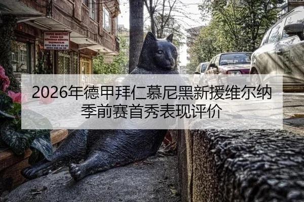 2026年德甲拜仁慕尼黑新援维尔纳季前赛首秀表现评价